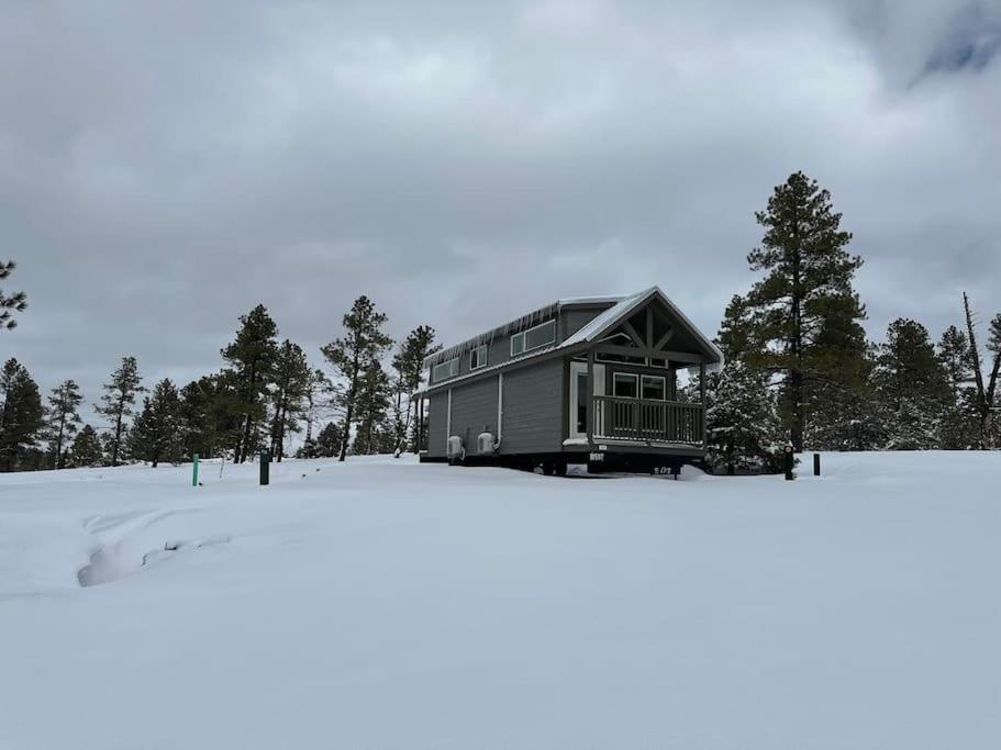 Cabins With A Mountain View 4A Williams Esterno foto